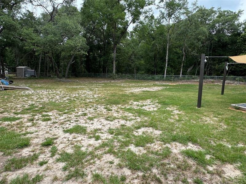 Natural landscape and outdoor views near  in Fanning Springs (Image 21).