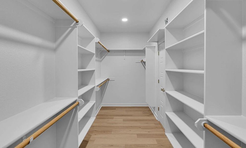 Spacious closet featuring light wood finished floors