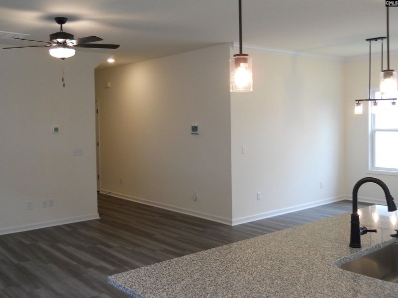 Spacious, unfurnished interior of a new home in Bickley Station, Irmo (Image 22).