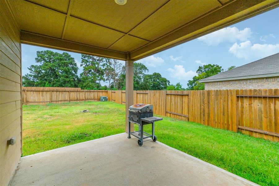 View of backyard.