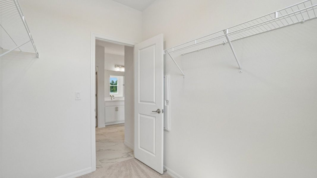 The Primary Closet