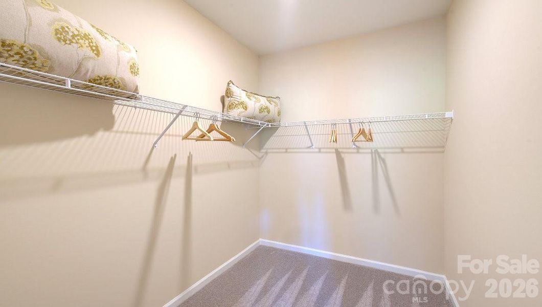 Photos are representative