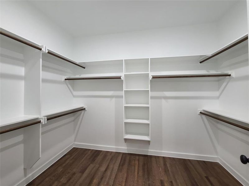 Primary spacious closet featuring dark wood-type flooring