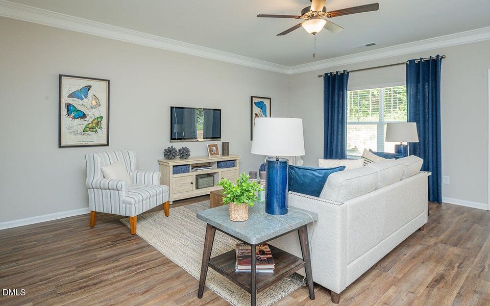 Representational Photo