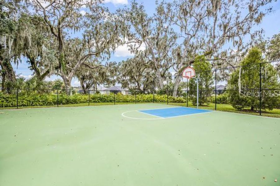 Natural landscape and outdoor views near  in Parrish (Image 47).