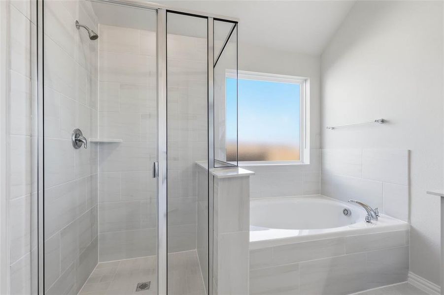 Full bath featuring a stall shower, a garden tub, and vaulted ceiling Full bath featuring a stall shower, a garden tub, and vaulted ceiling