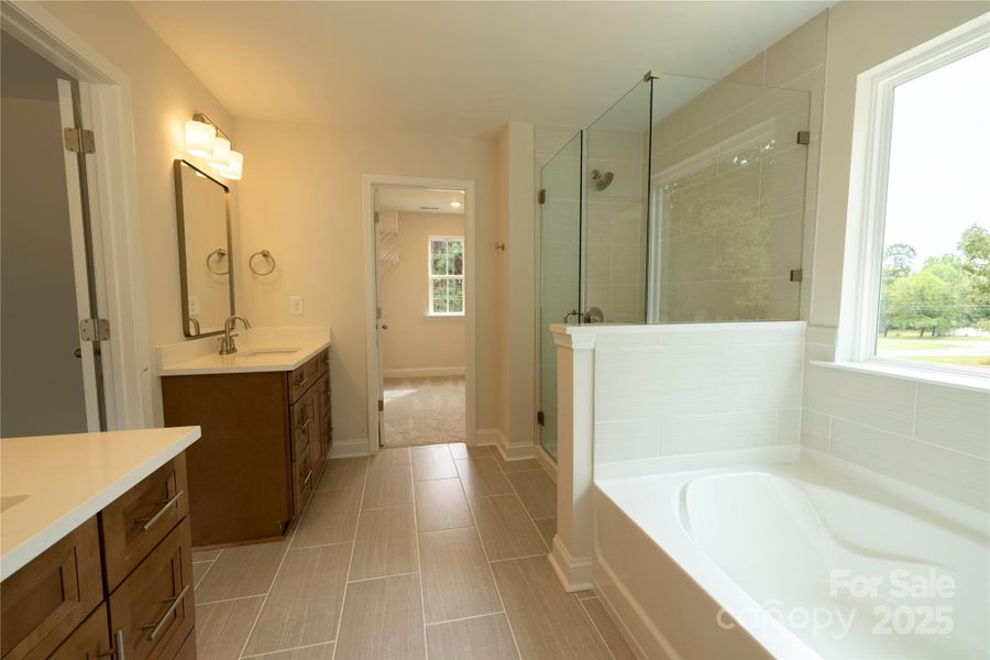 Spa Like En Suite Bath