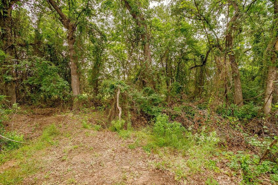 Natural landscape and outdoor views near in Poolville (Image 37). Natural landscape and outdoor views near in Poolville (Image 37).