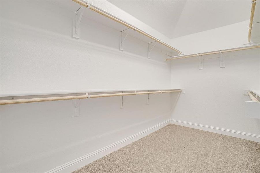 Walk in closet with carpet flooring