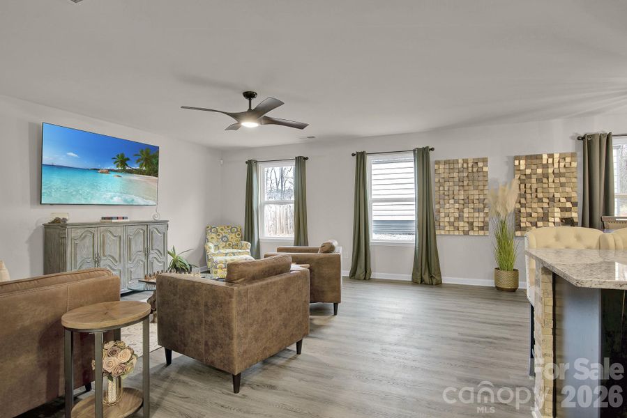 Living room - view 1