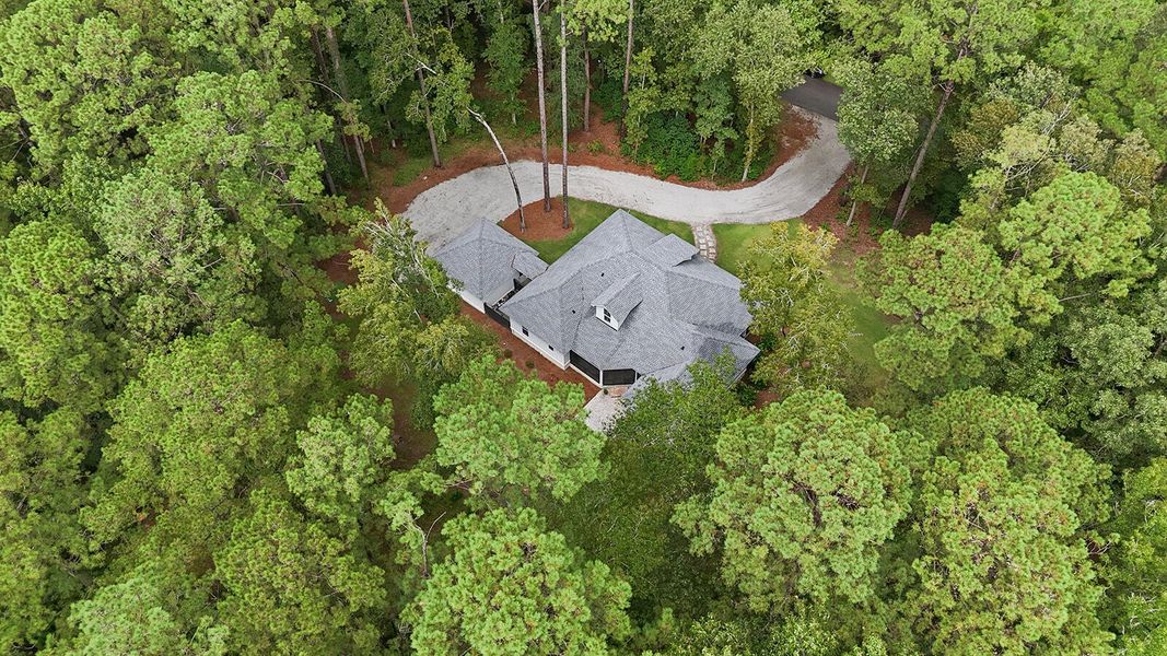Natural landscape and outdoor views near  in Seabrook (Image 81).