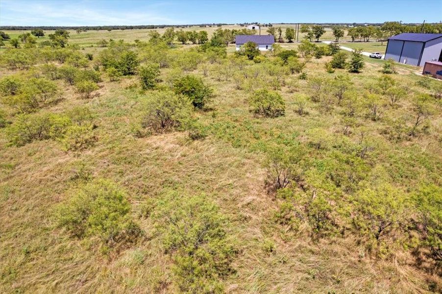 New fence in back on your property line. Fence the sides and behind your home and get a horse of cow or two.