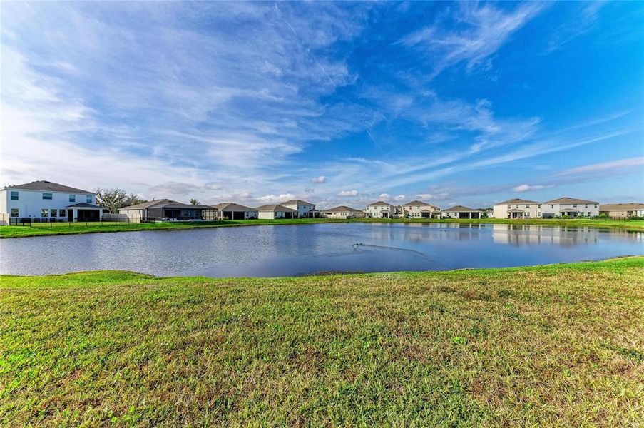 Natural landscape and outdoor views near Coddington in Bradenton (Image 46). Natural landscape and outdoor views near Coddington in Bradenton (Image 46).