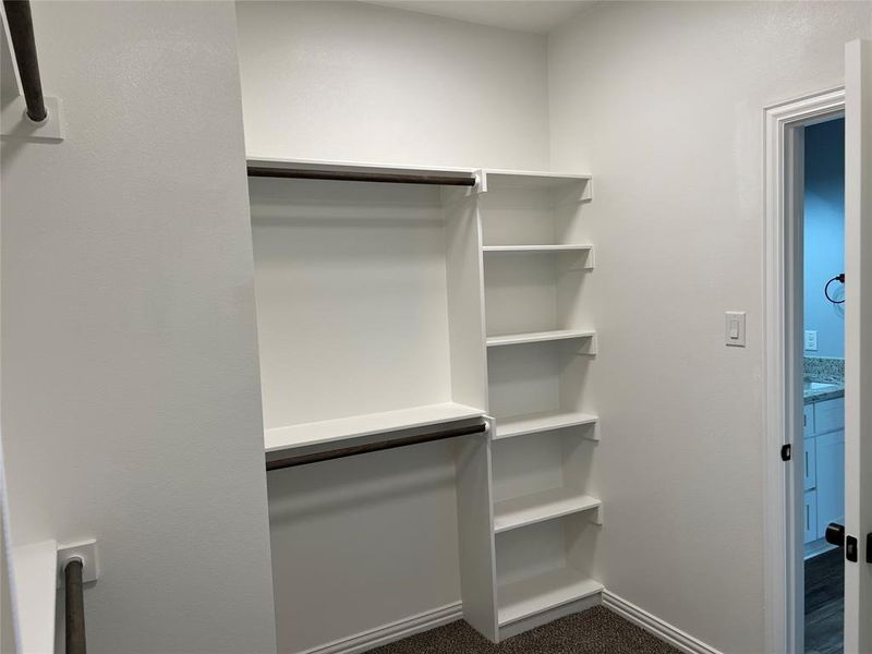 Spacious closet with dark carpet