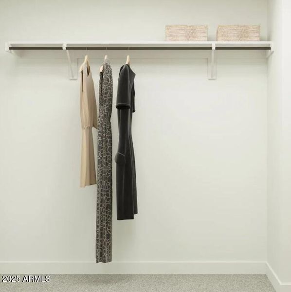 Owner's Walk in Closet