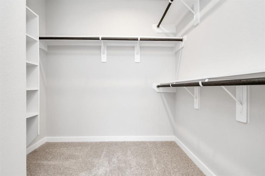 Spacious walk-in closet with high ceilings, shelves, modern finishes, and plush carpet. Sample photo of similar plan. Actual colors and selections may vary.