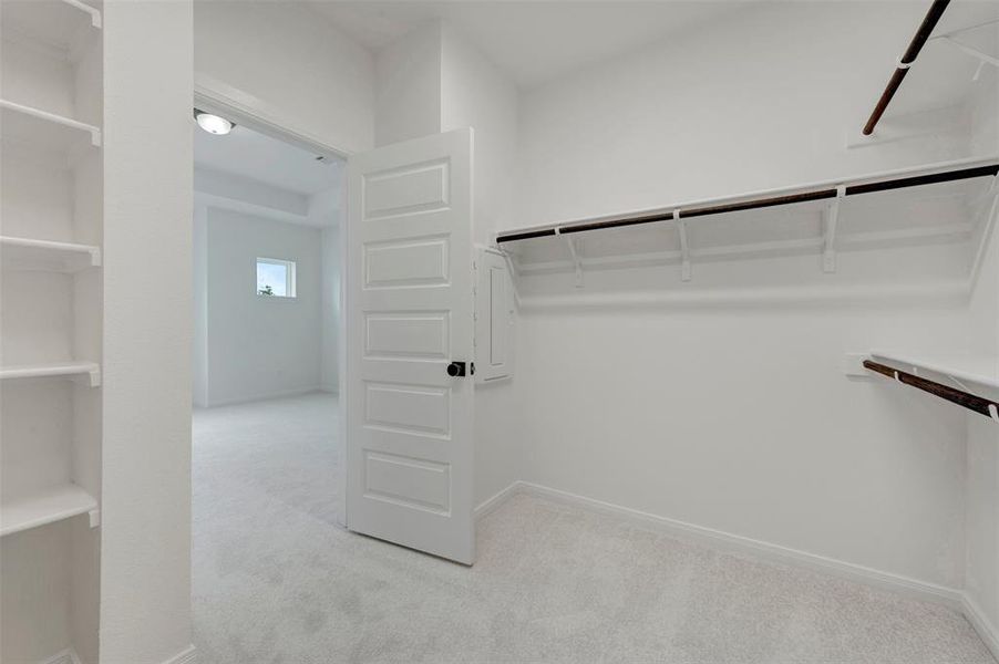 Walk-in closet featuring extensive built-in shelving, multiple hanging rods, and light-toned carpet flooring