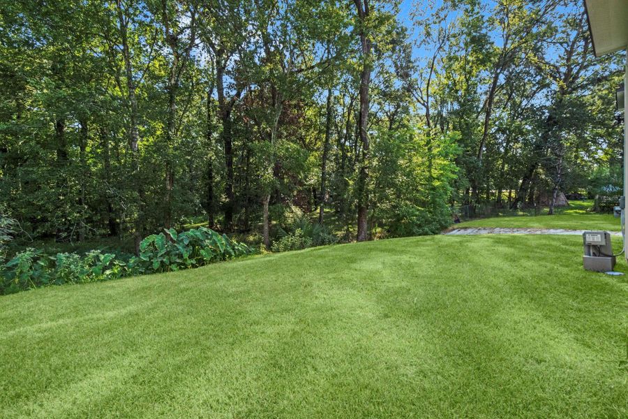 Grass enhanced by photographers.