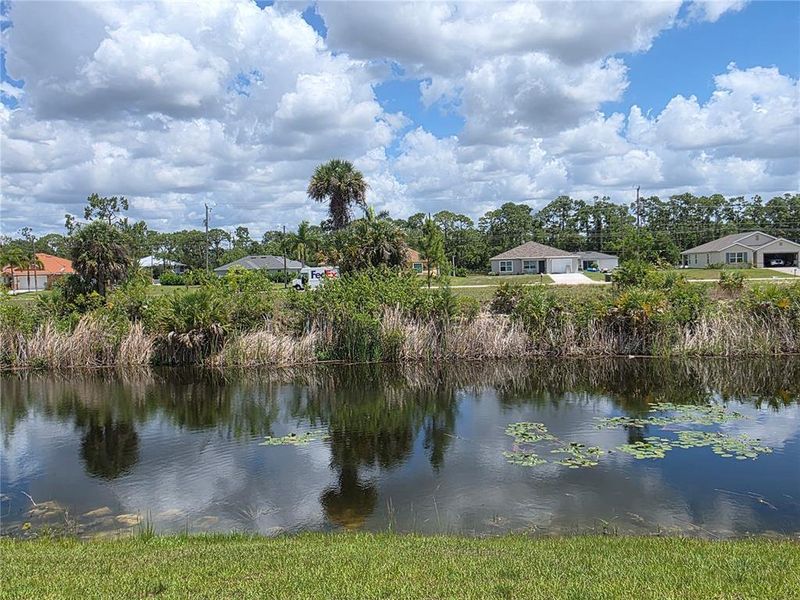 Natural landscape and outdoor views near  in Cape Coral (Image 39).
