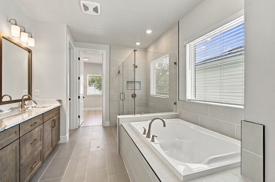 Owner's Bath
