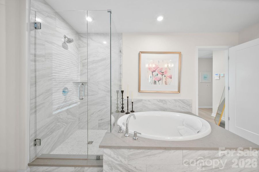 Owner's Bath