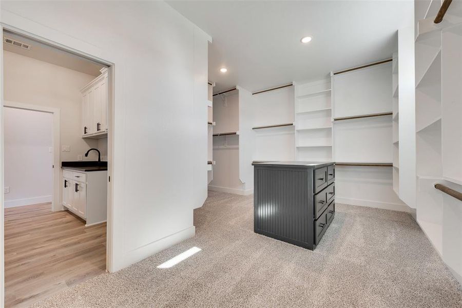 Spacious closet with light hardwood / wood-style floors and sink