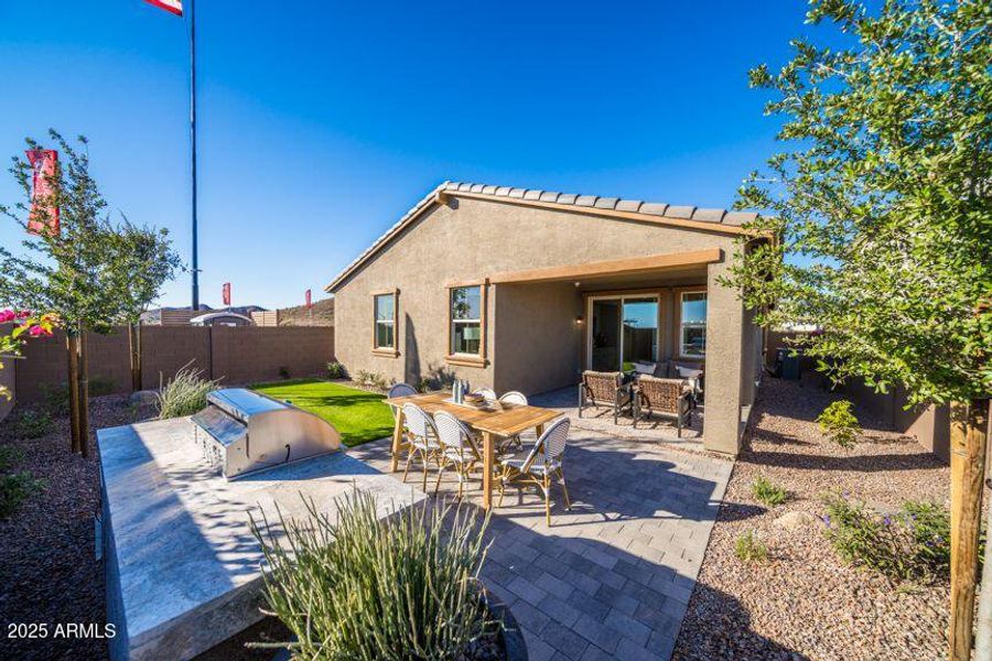 Backyard_1 (1) Backyard_1 (1)