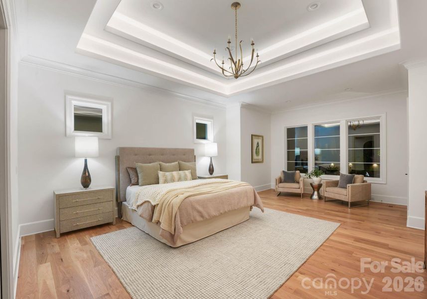 Double Trey Ceiling in Primary with Lighting