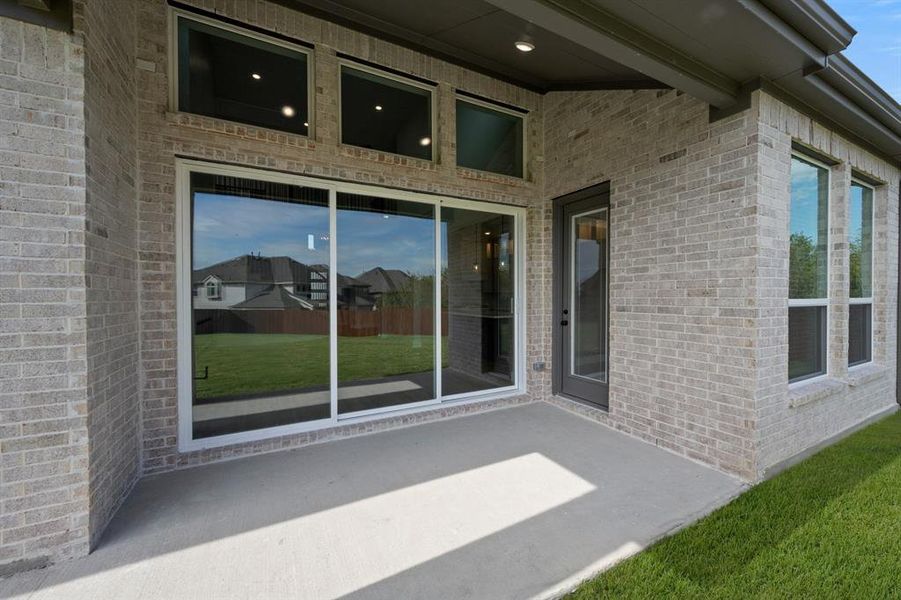 2215 Pelican- Back-3 2215 Pelican- Back-3