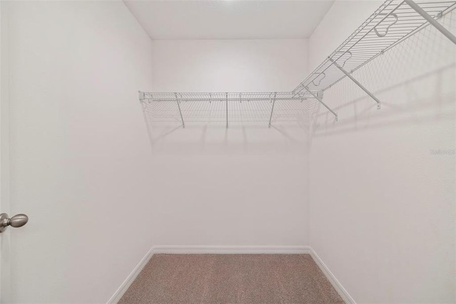 Primary Walk-In Closet