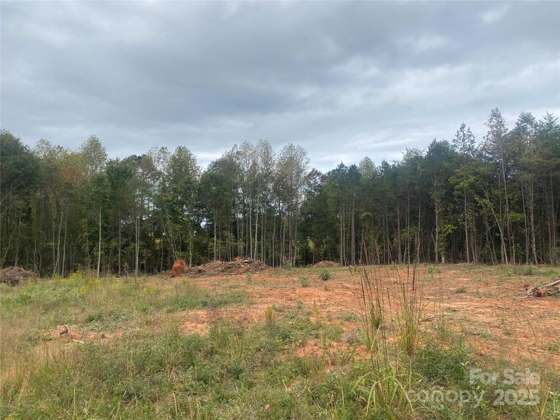 Natural landscape and outdoor views near in Forest City (Image 16). Natural landscape and outdoor views near in Forest City (Image 16).