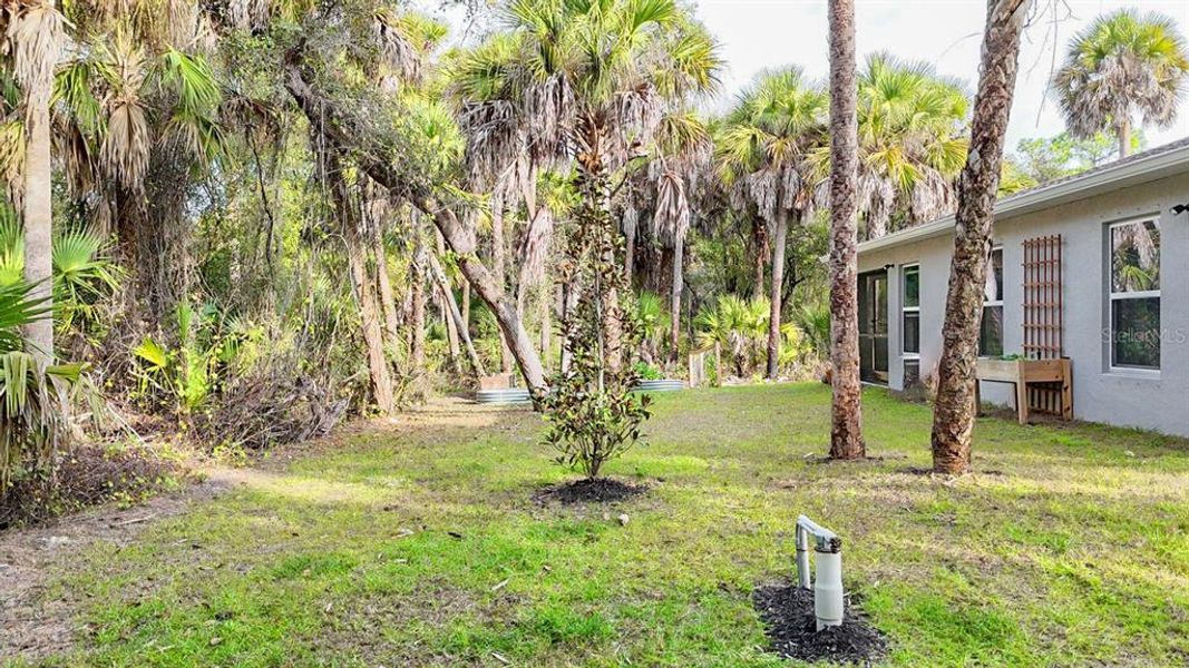 Natural landscape and outdoor views near  in North Port (Image 46).