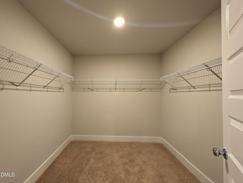 Walk in Closet #1
