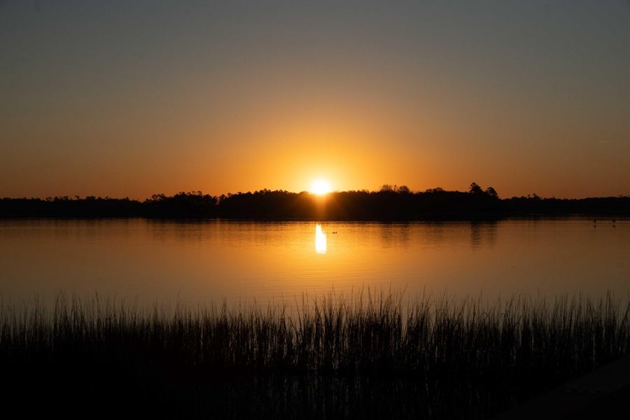 Natural landscape and outdoor views near  in Charleston (Image 7).