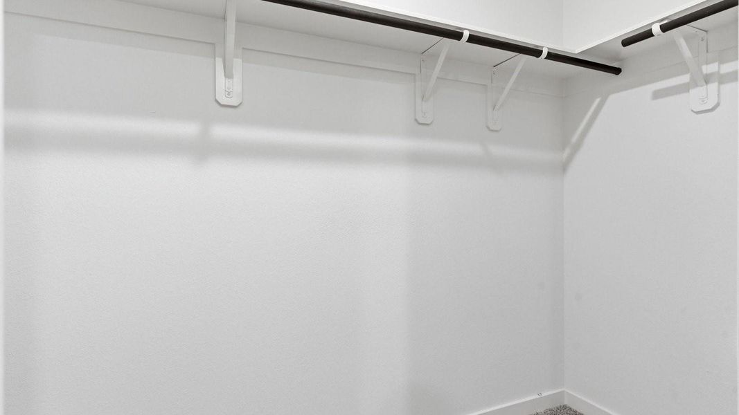 *Images and 3D tour are for illustration only and options may vary from home as built.