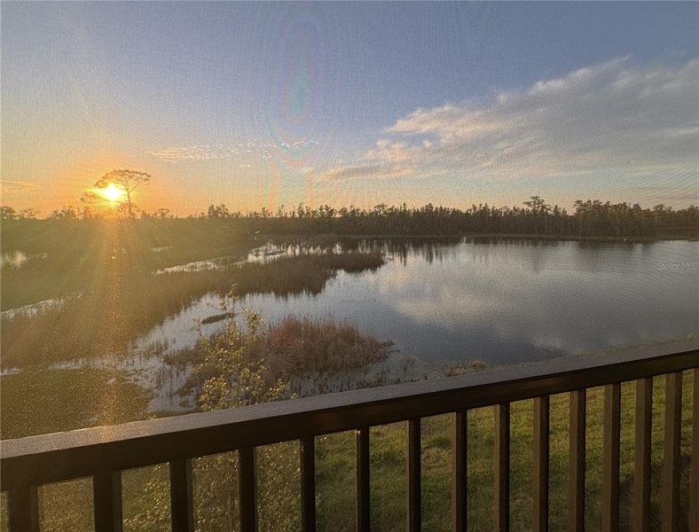 Natural landscape and outdoor views near  in Punta Gorda (Image 44).