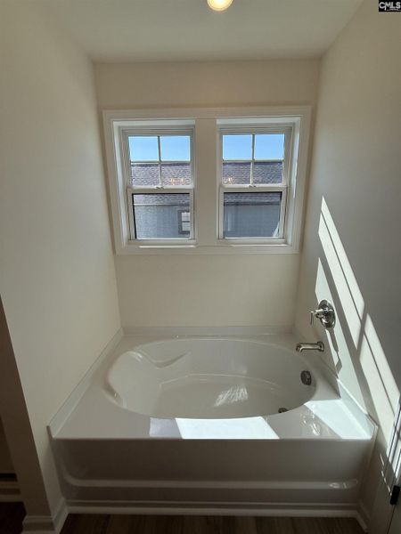 Furnished interior view inside a new home in Dunbar Village, Cayce (Image 13).