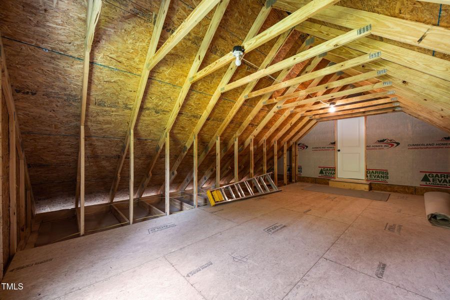 45-web-or-mls-IMG_0942