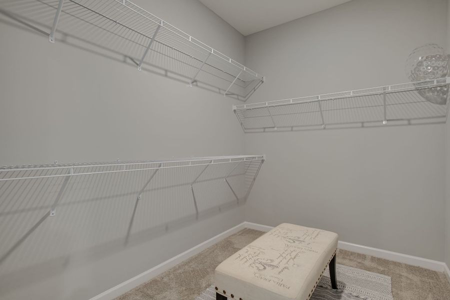 Owner's suite walk in closet