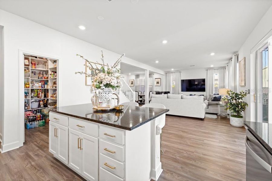 Furnished interior view inside a new home in , Davenport (Image 30). Furnished interior view inside a new home in , Davenport (Image 30).