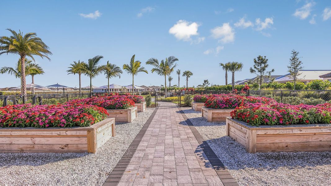 Community amenities in Esplanade at Azario Lakewood Ranch, Bradenton (Image 82).