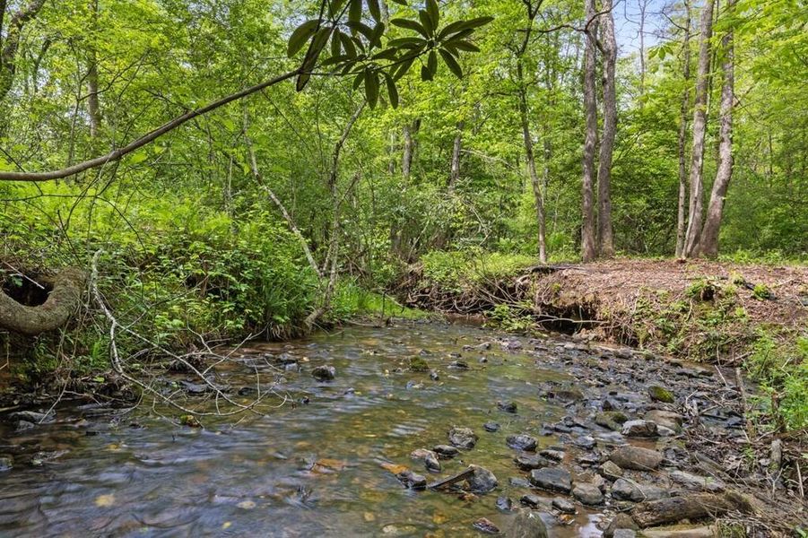 Natural landscape and outdoor views near in Blue Ridge (Image 48). Natural landscape and outdoor views near in Blue Ridge (Image 48).