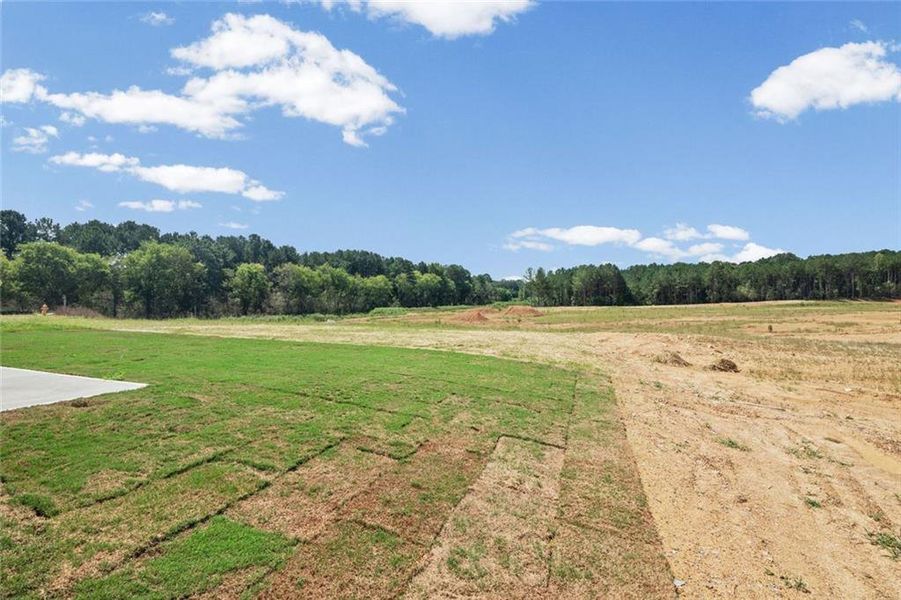 Natural landscape and outdoor views near Three Rivers in Rome (Image 39). Natural landscape and outdoor views near Three Rivers in Rome (Image 39).