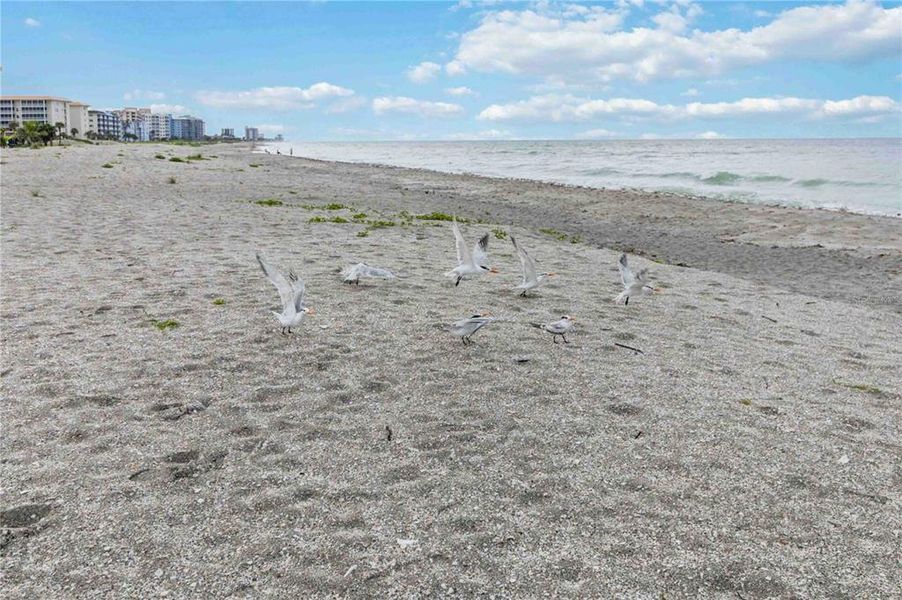 Image 33 of a home in .