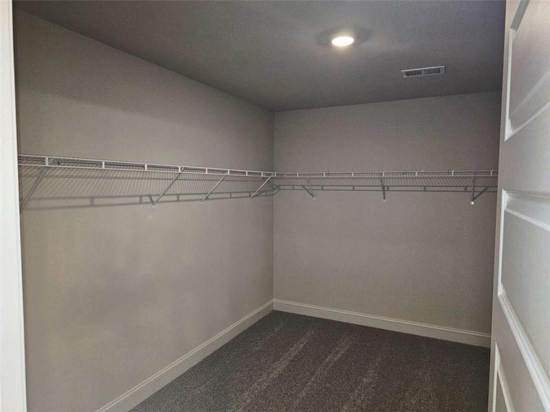 Spacious, unfurnished interior of a new home in Scarlett Place, Bowdon (Image 8).