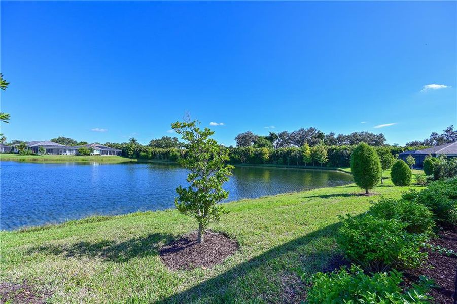 Natural landscape and outdoor views near  in Sarasota (Image 31).