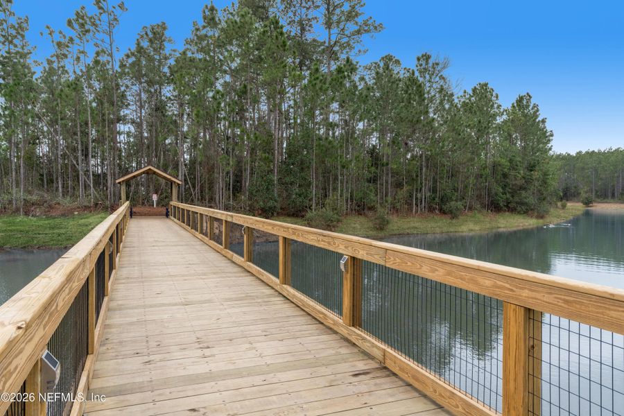 Natural landscape and outdoor views near Evergreen Island at Silverleaf - Executive in St. Augustine (Image 4).