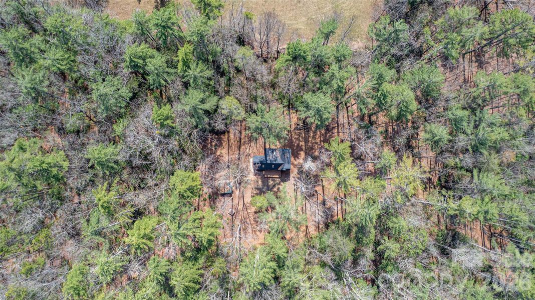 Natural landscape and outdoor views near  in Brevard (Image 23).