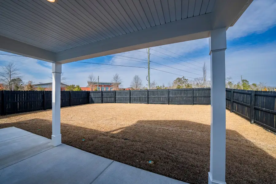 Exterior details and patio area of a home in Monroe Preserve, Chapin (Image 4).