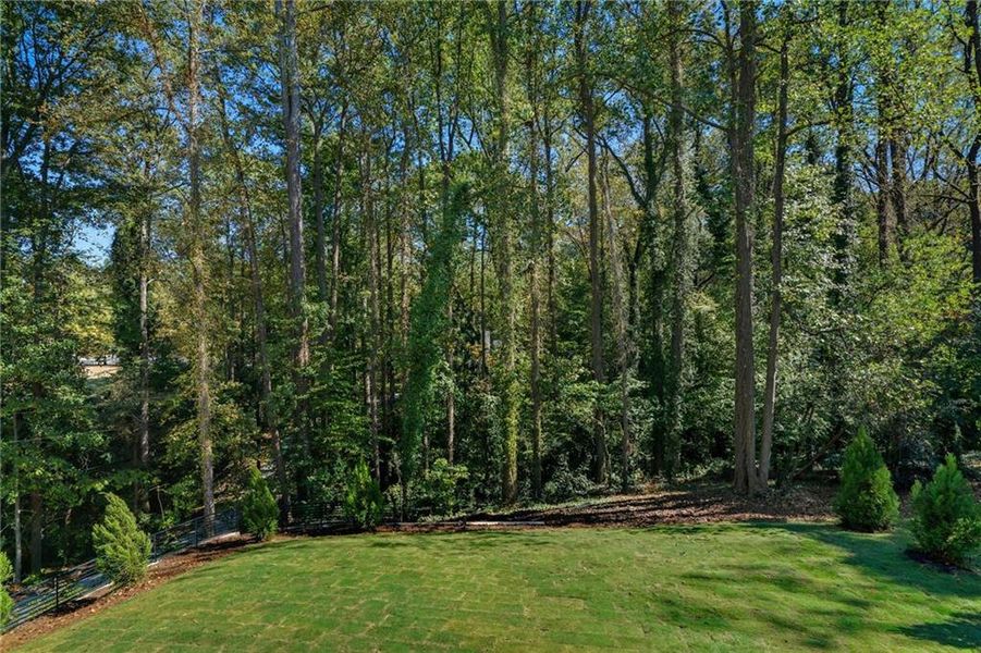 Natural landscape and outdoor views near in Atlanta (Image 78). Natural landscape and outdoor views near in Atlanta (Image 78).